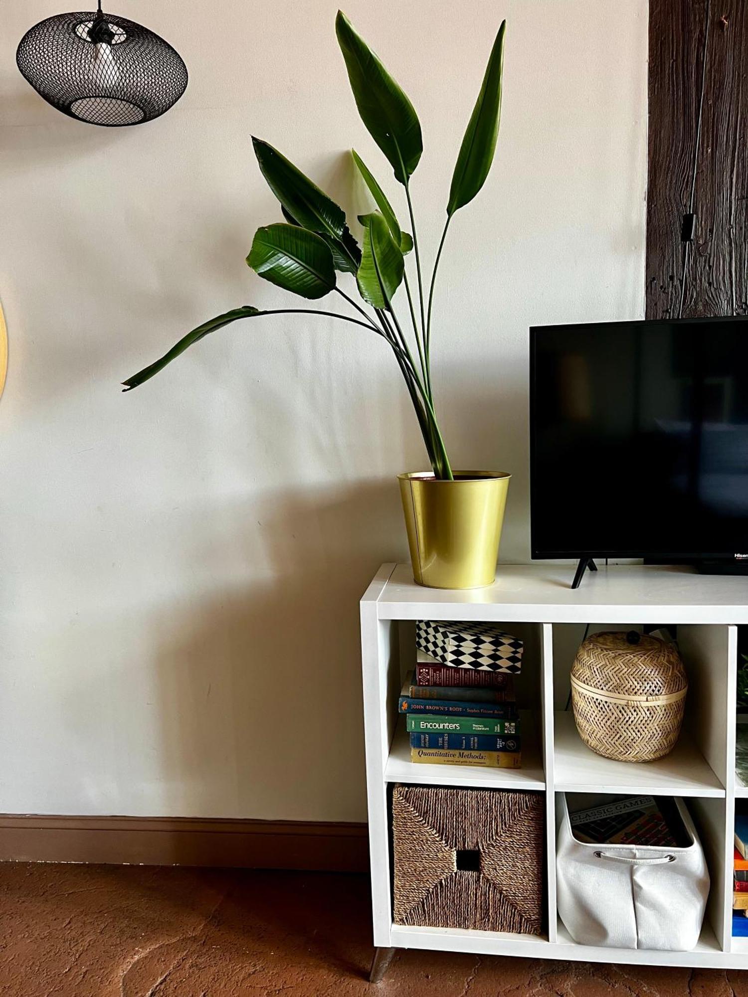 420 Friendly Boho Loft Downtown King Suite Free Parking Detroit Buitenkant foto
